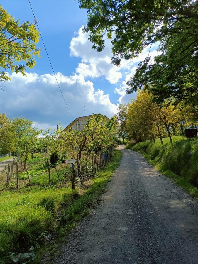 Agriturismo Al Monte San Piero in Bagno Exterior foto